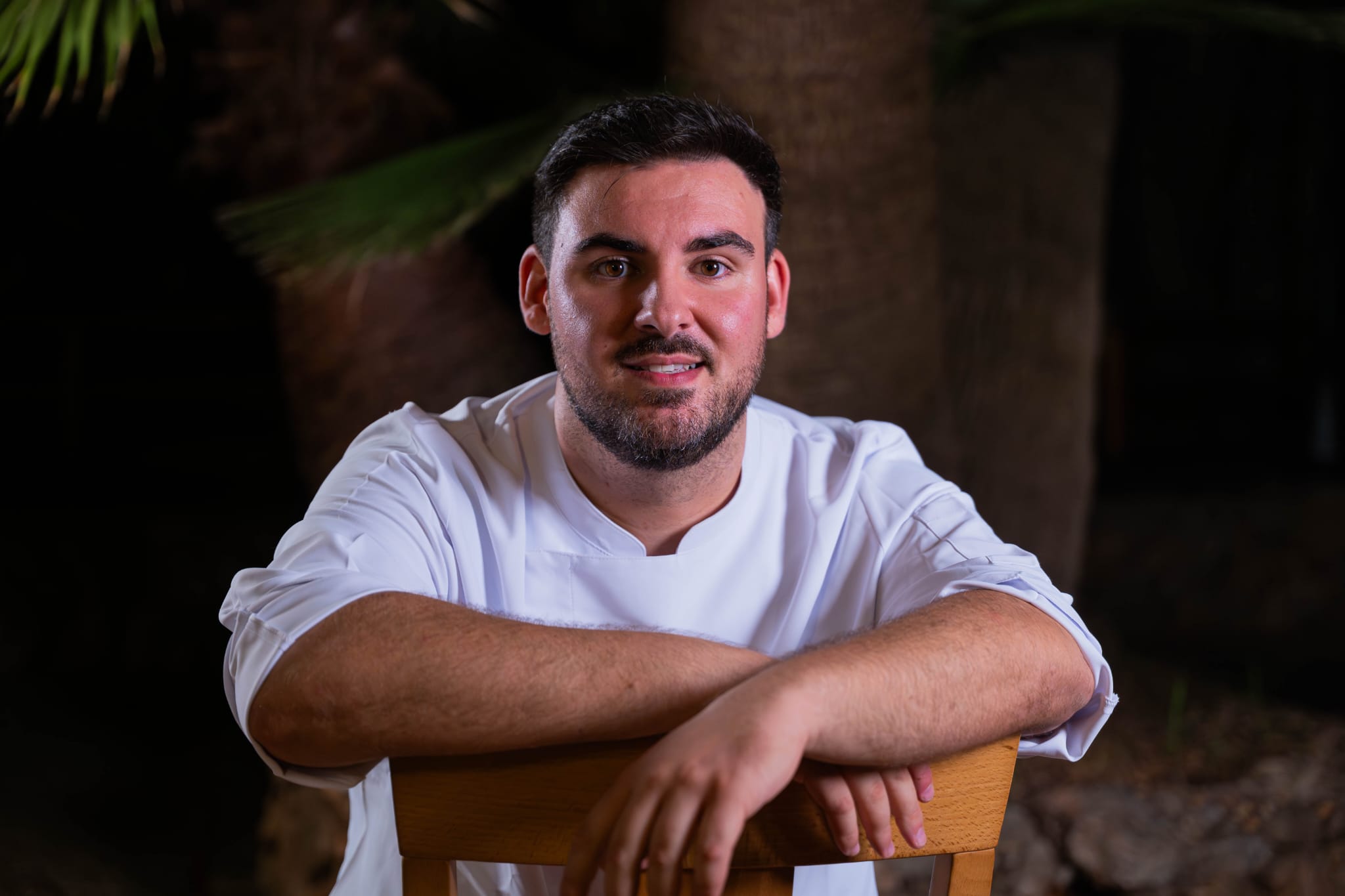 Plato estrella de Miquel Àngel